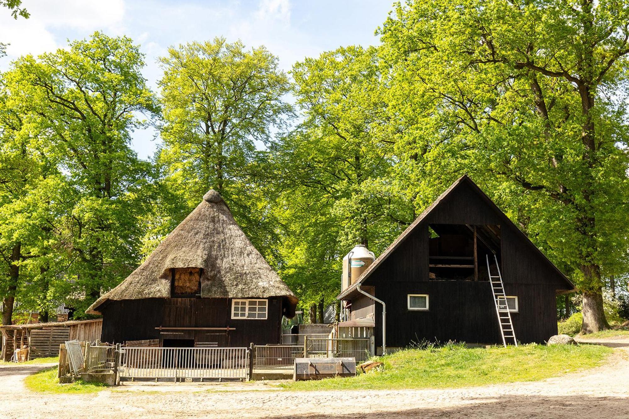 Апартаменты Heide Ferien - Hof Bockelmann Биспинген Экстерьер фото