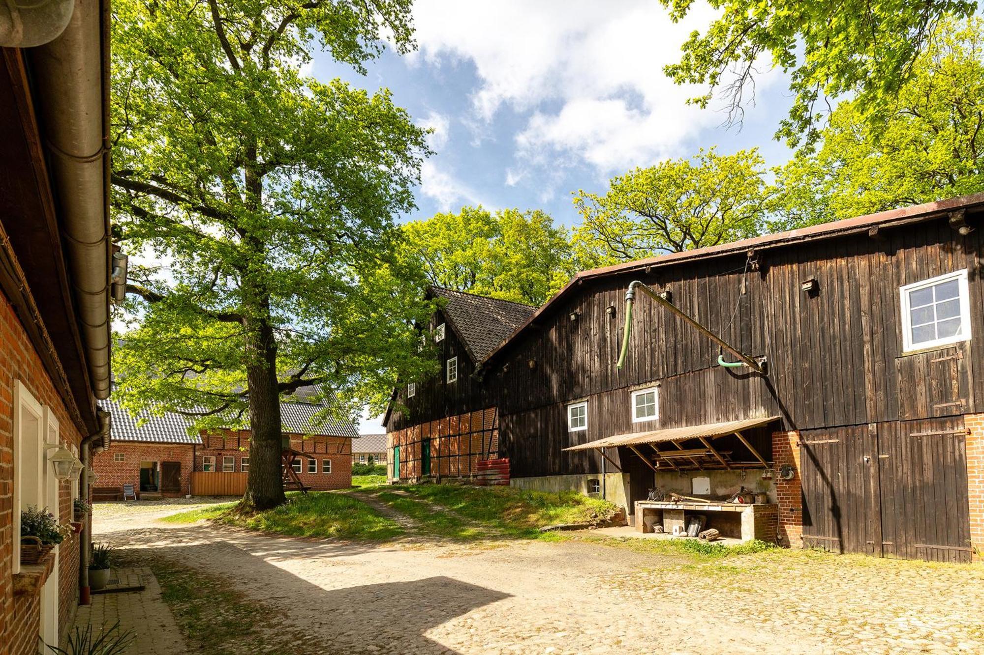 Апартаменты Heide Ferien - Hof Bockelmann Биспинген Экстерьер фото