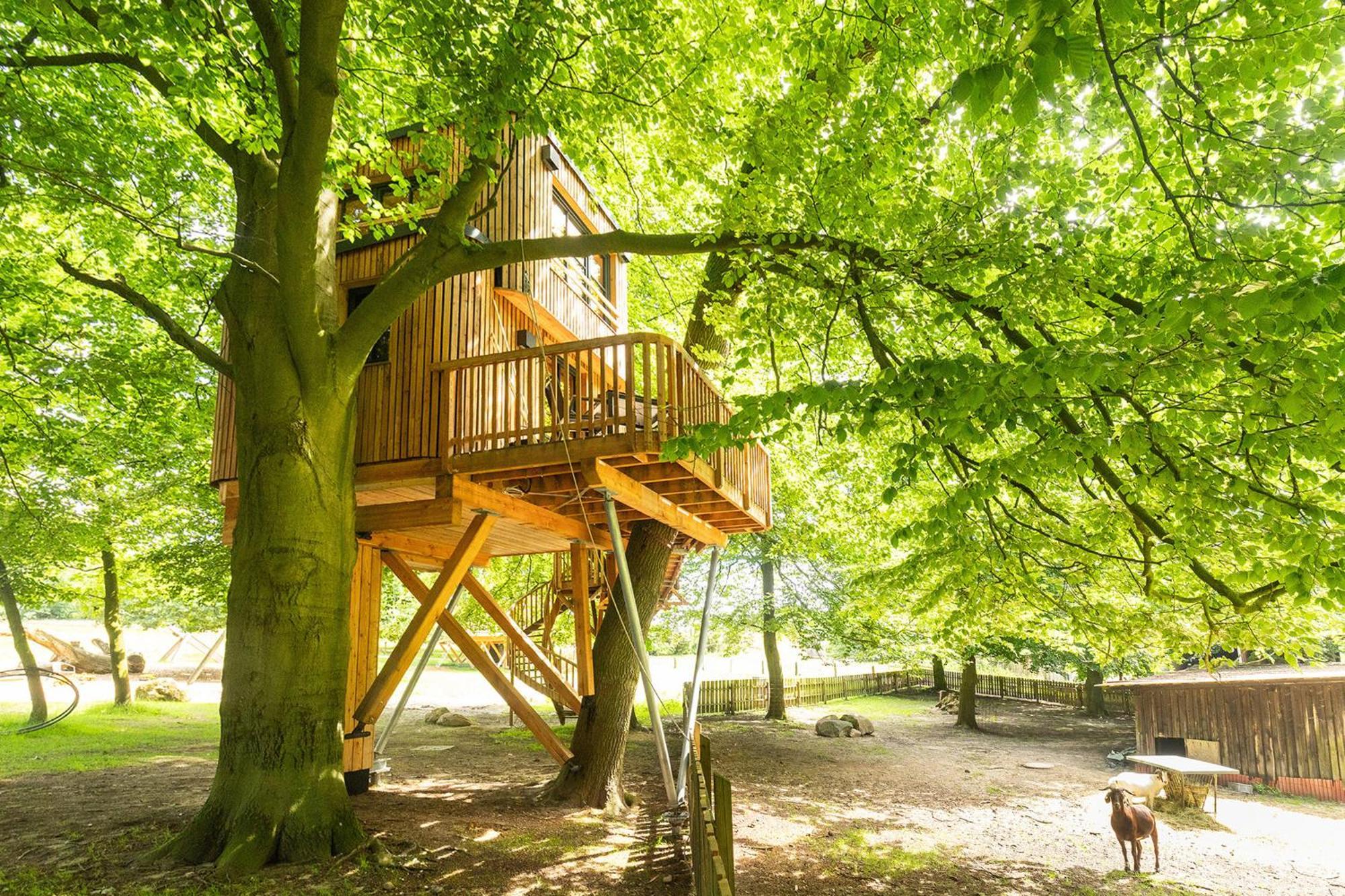 Апартаменты Heide Ferien - Hof Bockelmann Биспинген Экстерьер фото